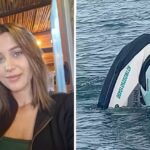 Após três dias à deriva, mulher é salva no mar de Ilhabela enquanto namorado permanece desaparecido