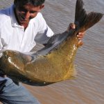 Ministro garante que a pesca do tambaqui seguirá permitida na Amazônia