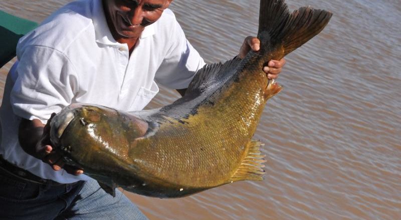 Ministro garante que a pesca do tambaqui seguirá permitida na Amazônia