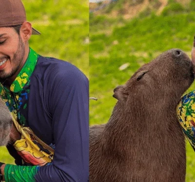 Agenor garante luta judicial para reaver a capivara Filó após ordem de devolução ao Ibama